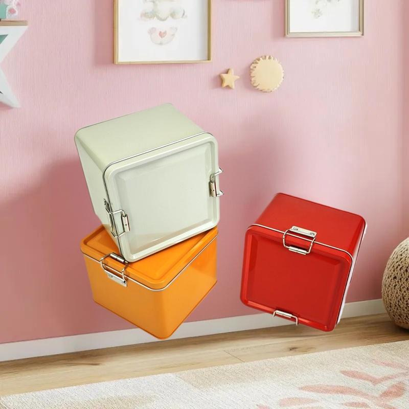 Boîte carrée de boîtes à biscu - Tin Container Lid avis et prix